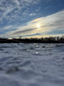 WhatsApp Image 2026-01-10 at 15.55.59 (1)