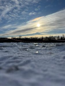 WhatsApp Image 2026-01-10 at 15.55.59