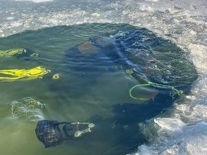 WhatsApp Image 2026-01-10 at 15.56.03 (2)