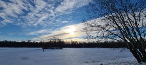 WhatsApp Image 2026-01-10 at 15.56.08 (1)