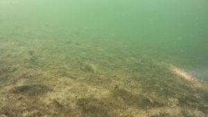 WhatsApp Image 2026-01-11 at 07.02.17 (1)