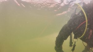 WhatsApp Image 2026-01-11 at 07.02.19